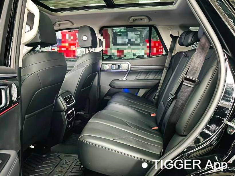 TANK 2024 TANK 400 Hi4-T 2.0T Off road Edition Automatic Transmission