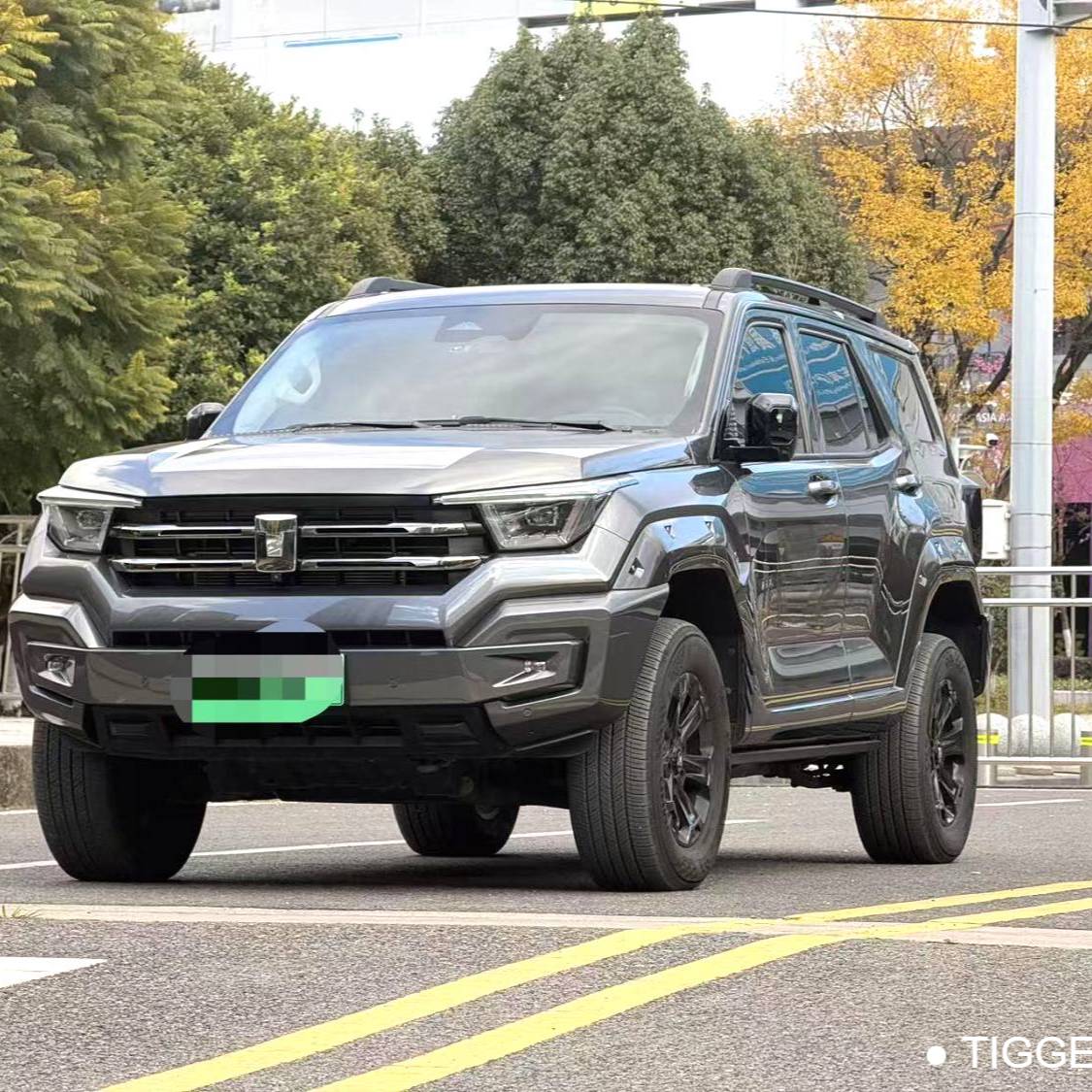 TANK  2024 TANK  400 Hi4-T 2.0T Off road Edition Automatic Transmission Used Car