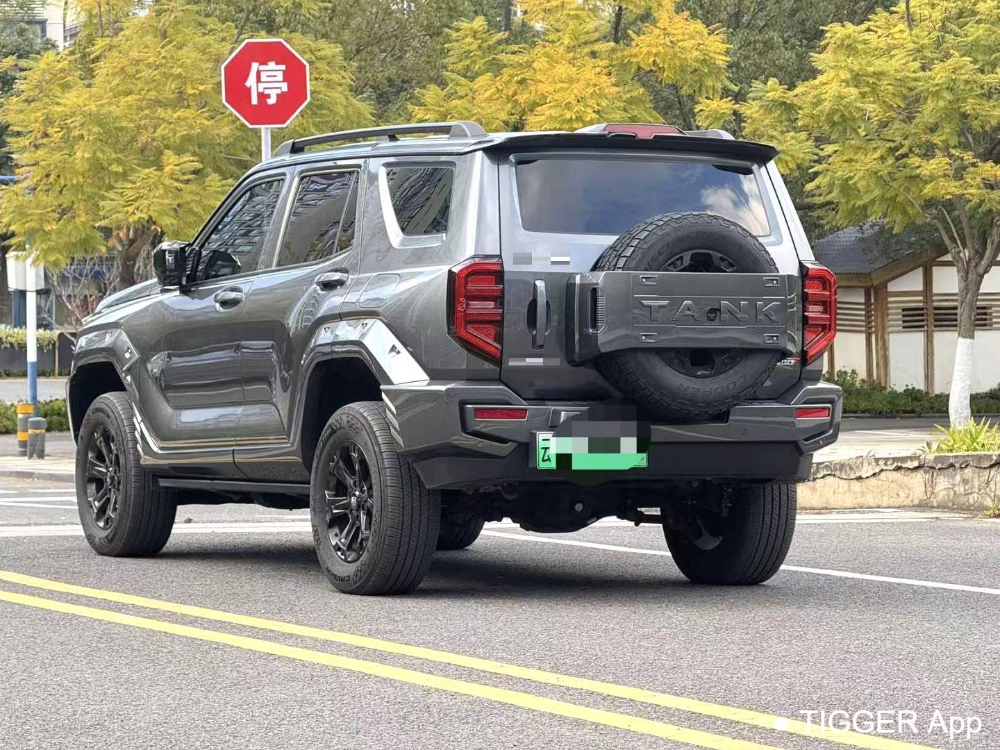 TANK  2024 TANK  400 Hi4-T 2.0T Off road Edition Automatic Transmission