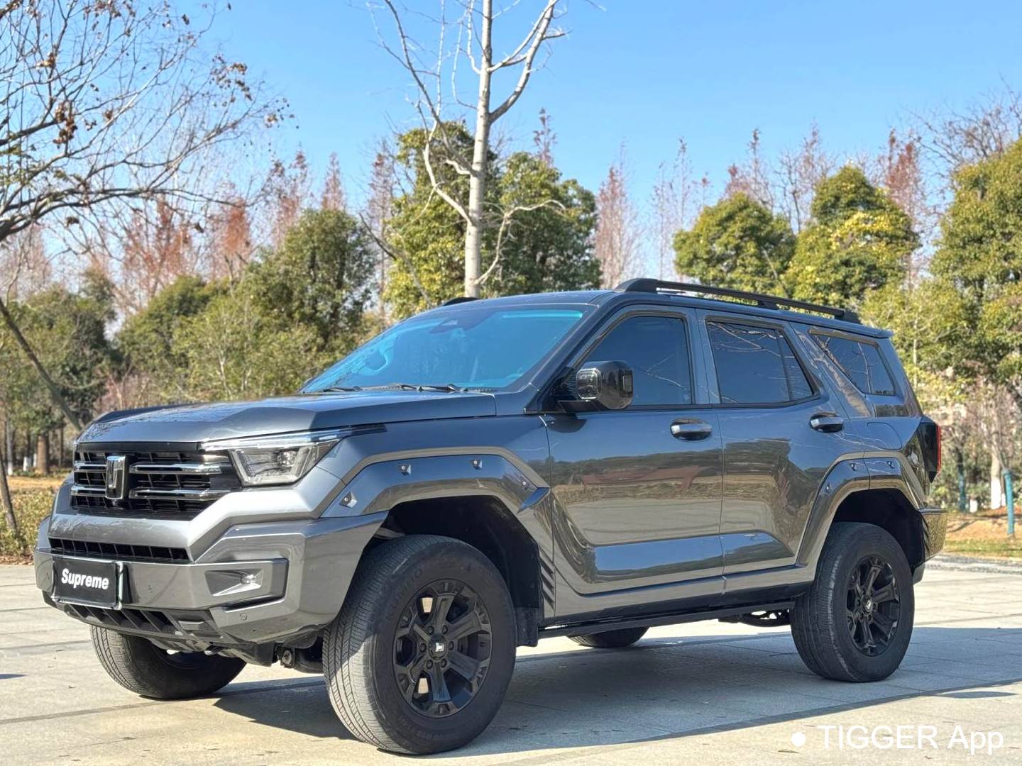 TANK 2023 TANK 400 Hi4-T 2.0T Superpower Edition Automatic Transmission