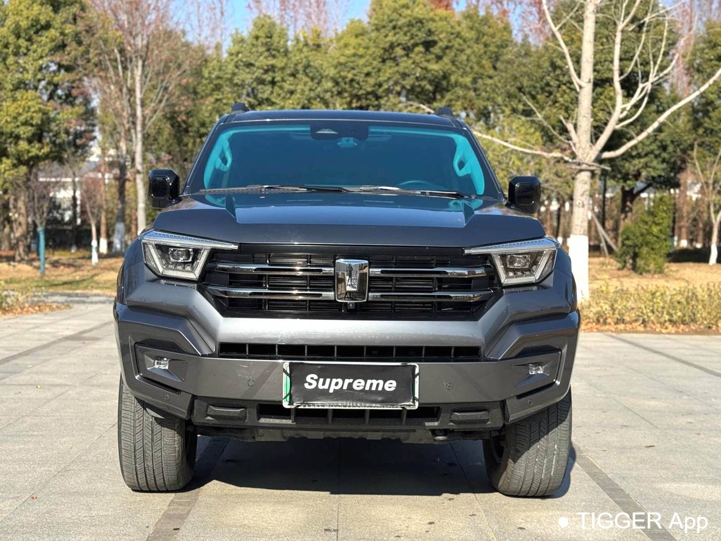 TANK 2023 TANK 400 Hi4-T 2.0T Superpower Edition Automatic Transmission