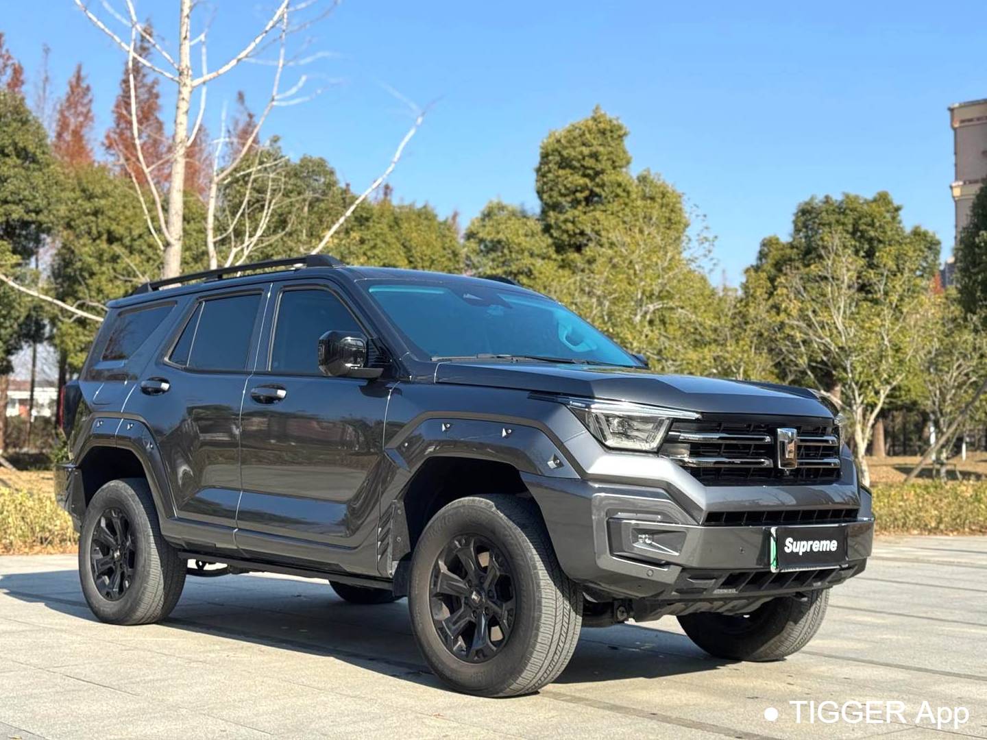 TANK 2023 TANK 400 Hi4-T 2.0T Superpower Edition Automatic Transmission