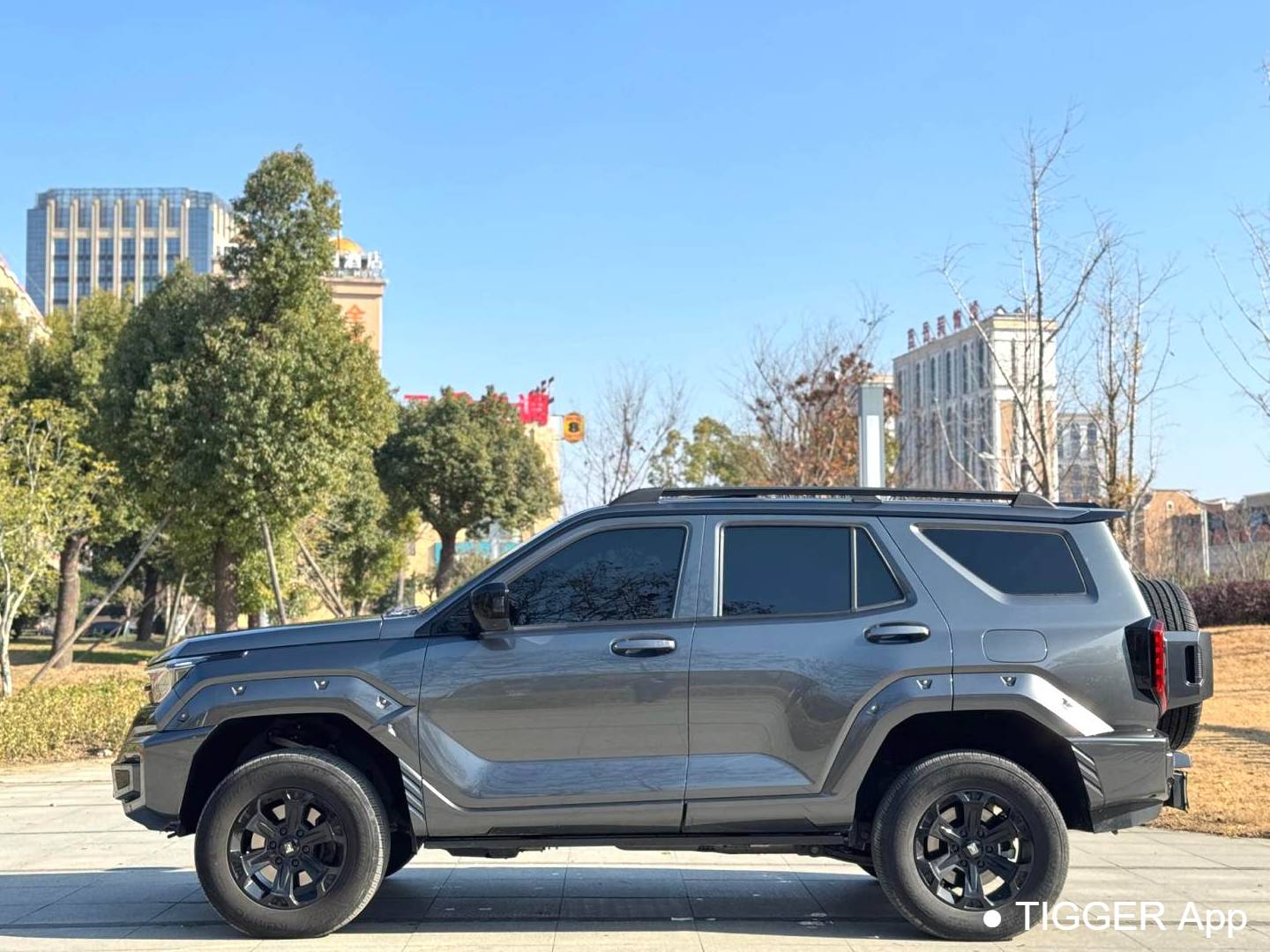 TANK 2023 TANK 400 Hi4-T 2.0T Superpower Edition Automatic Transmission