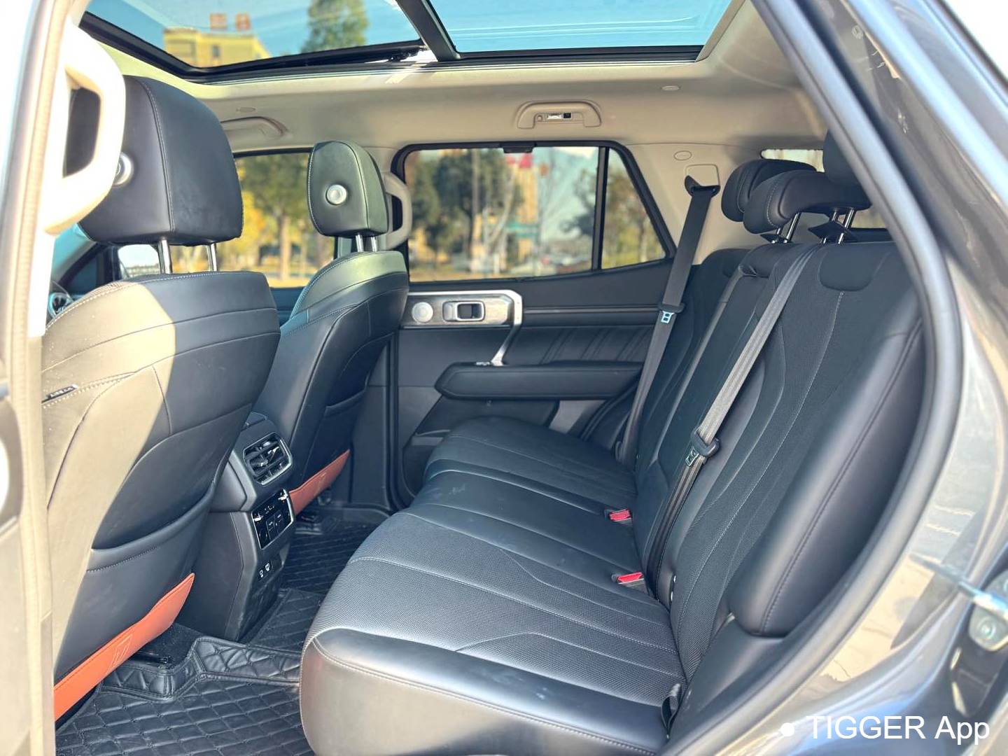 TANK 2023 TANK 400 Hi4-T 2.0T Superpower Edition Automatic Transmission