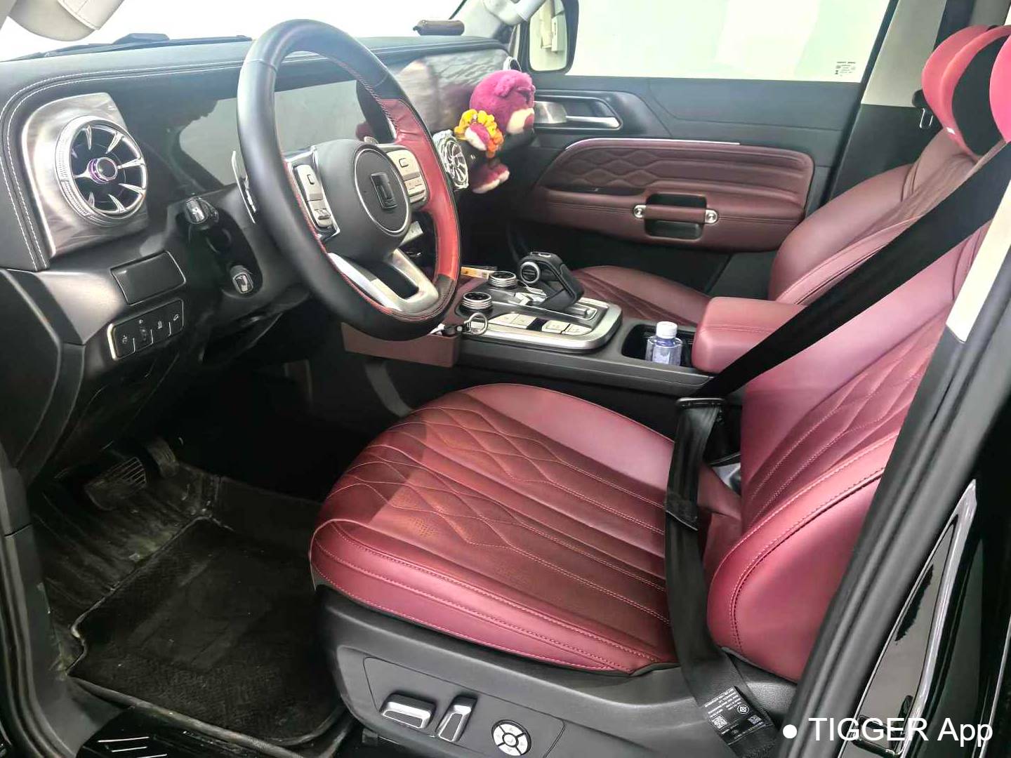 TANK 2024 TANK 300 2.0T Conqueror Automatic Transmission