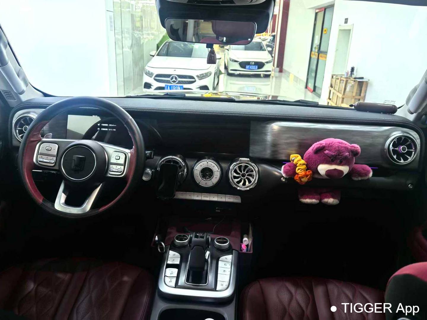 TANK 2024 TANK 300 2.0T Conqueror Automatic Transmission