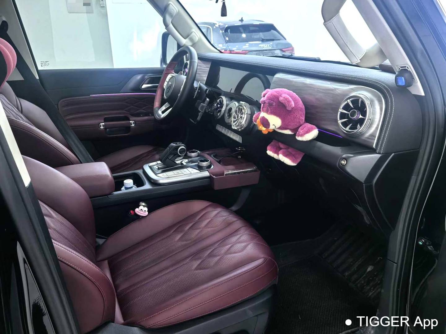 TANK 2024 TANK 300 2.0T Conqueror Automatic Transmission