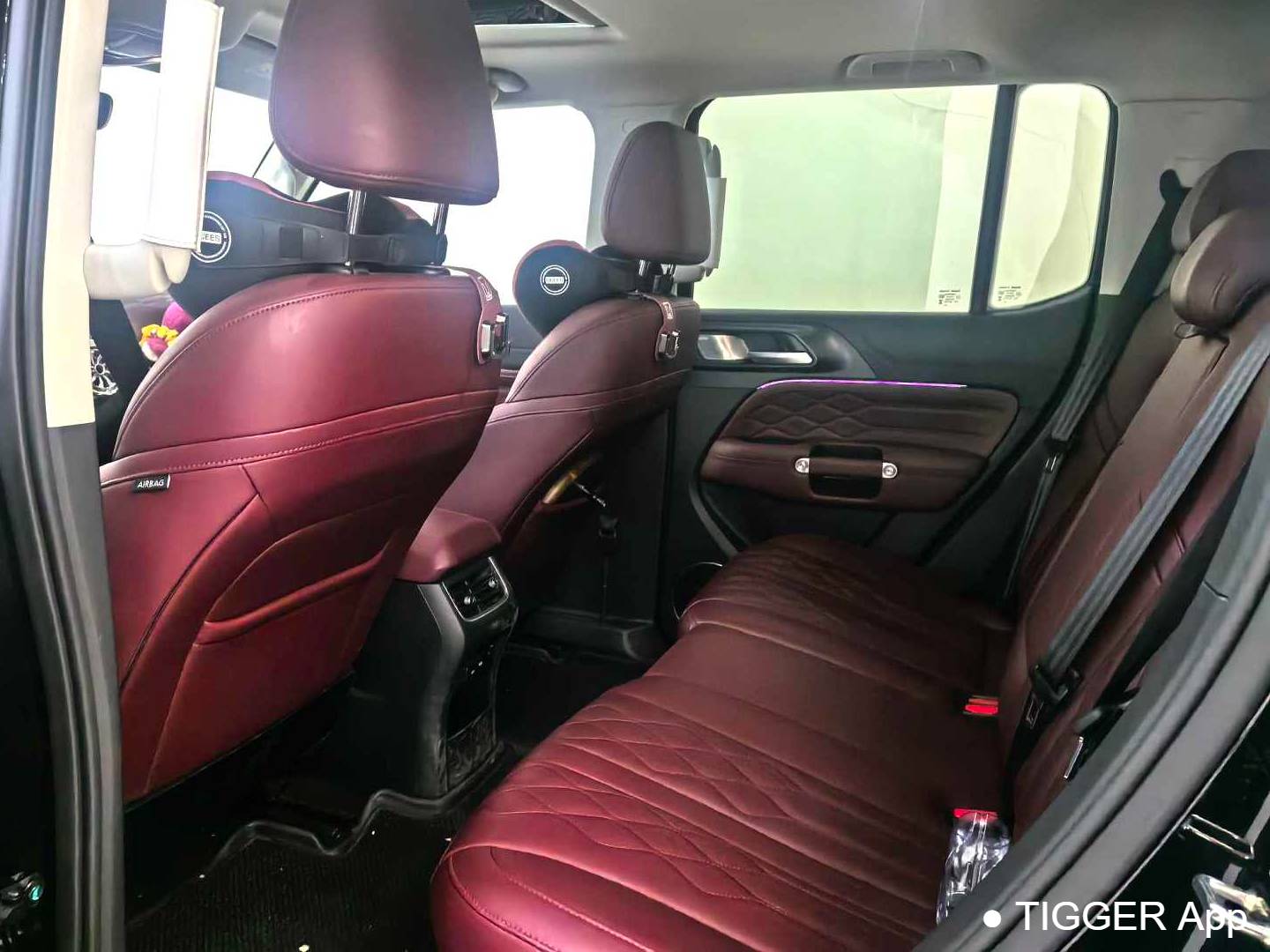 TANK 2024 TANK 300 2.0T Conqueror Automatic Transmission