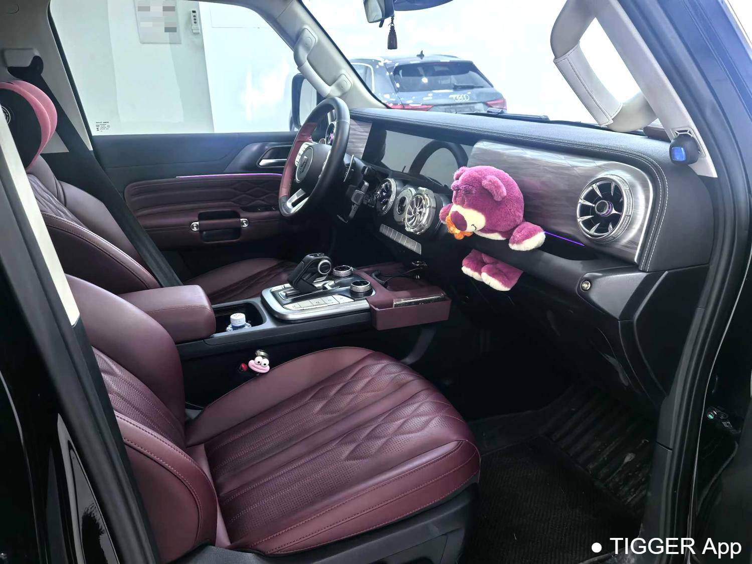 used TANK 2024 TANK 300 2.0T Conqueror Automatic Transmission