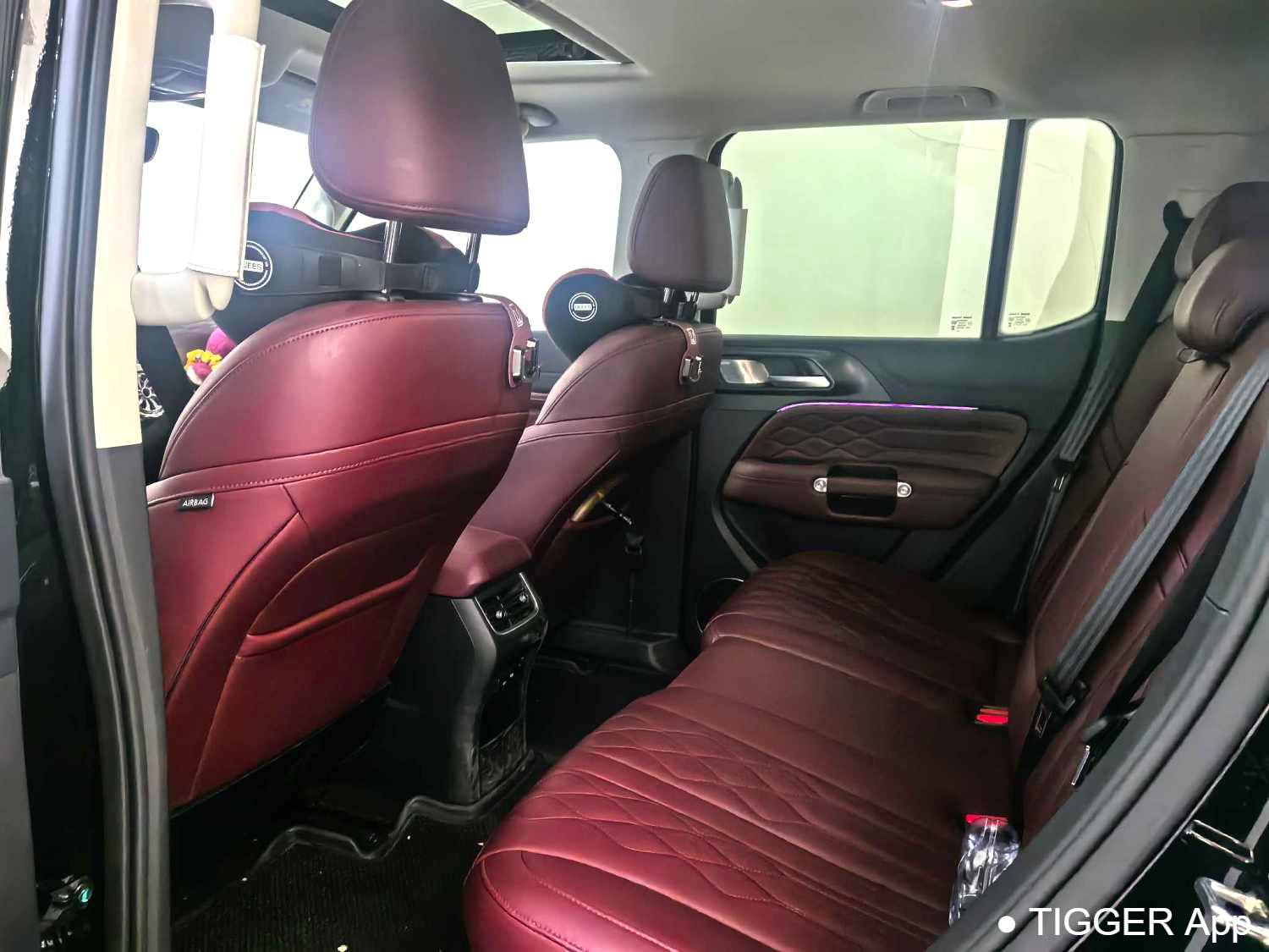 used TANK 2024 TANK 300 2.0T Conqueror Automatic Transmission