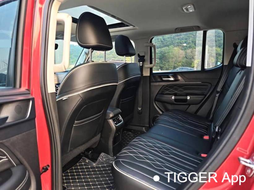 TANK 2023 TANK 300 2.0T City Edition I Look Type Automatic Transmission