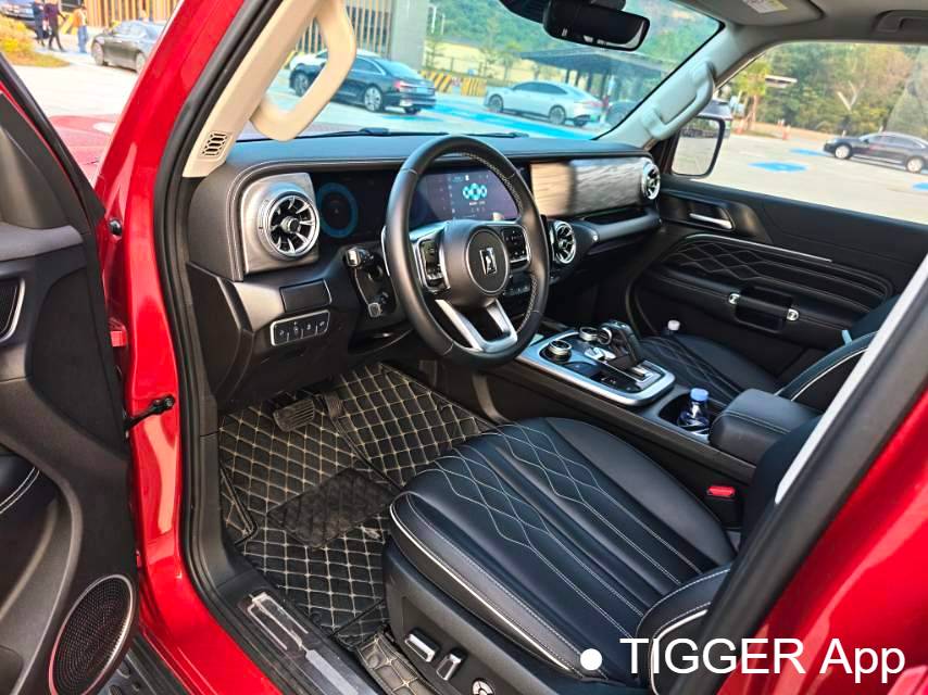 used TANK 2023 TANK 300 2.0T City Edition I Look Type Automatic Transmission