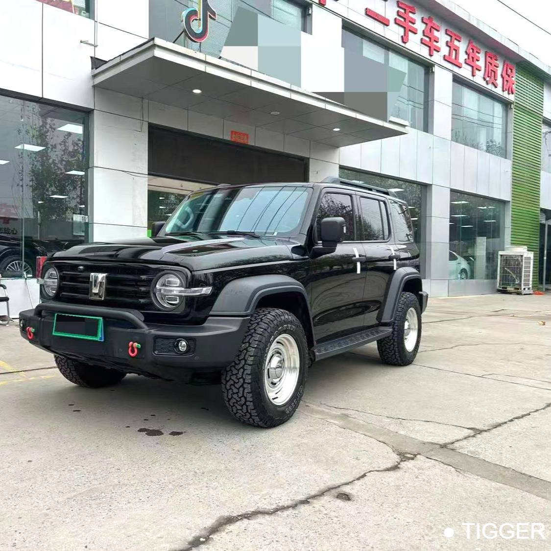 TANK 2024 TANK 300 2.0T Conqueror Automatic Transmission Used Car