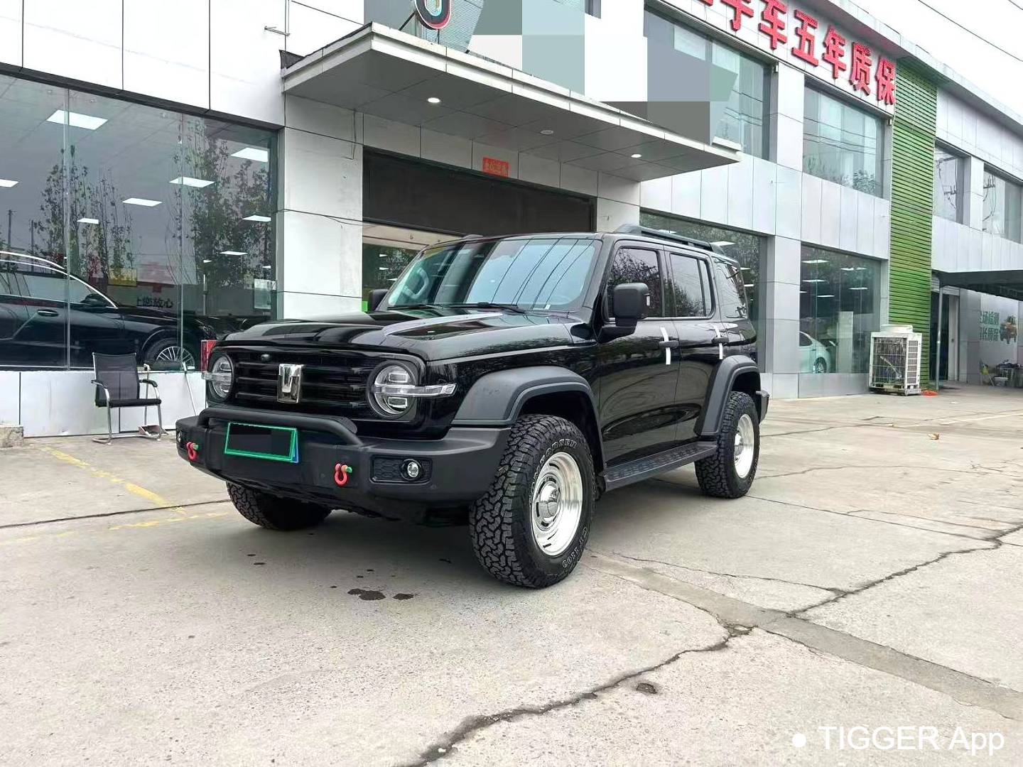 TANK 2024 TANK 300 2.0T Conqueror Automatic Transmission