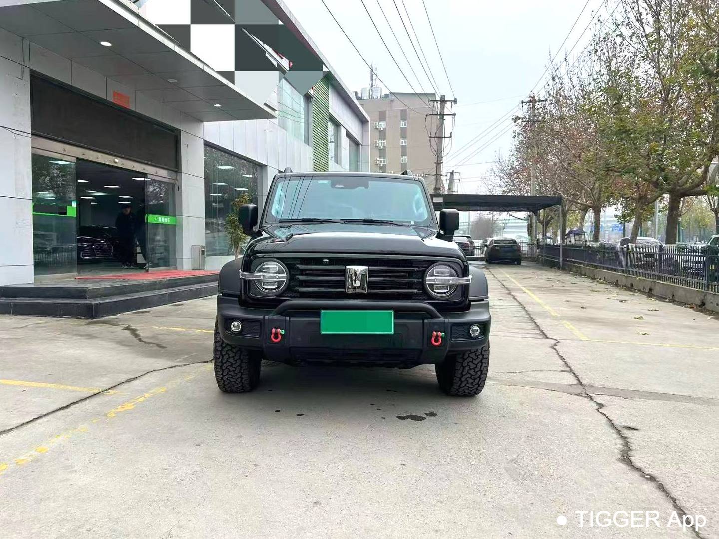 TANK 2024 TANK 300 2.0T Conqueror Automatic Transmission