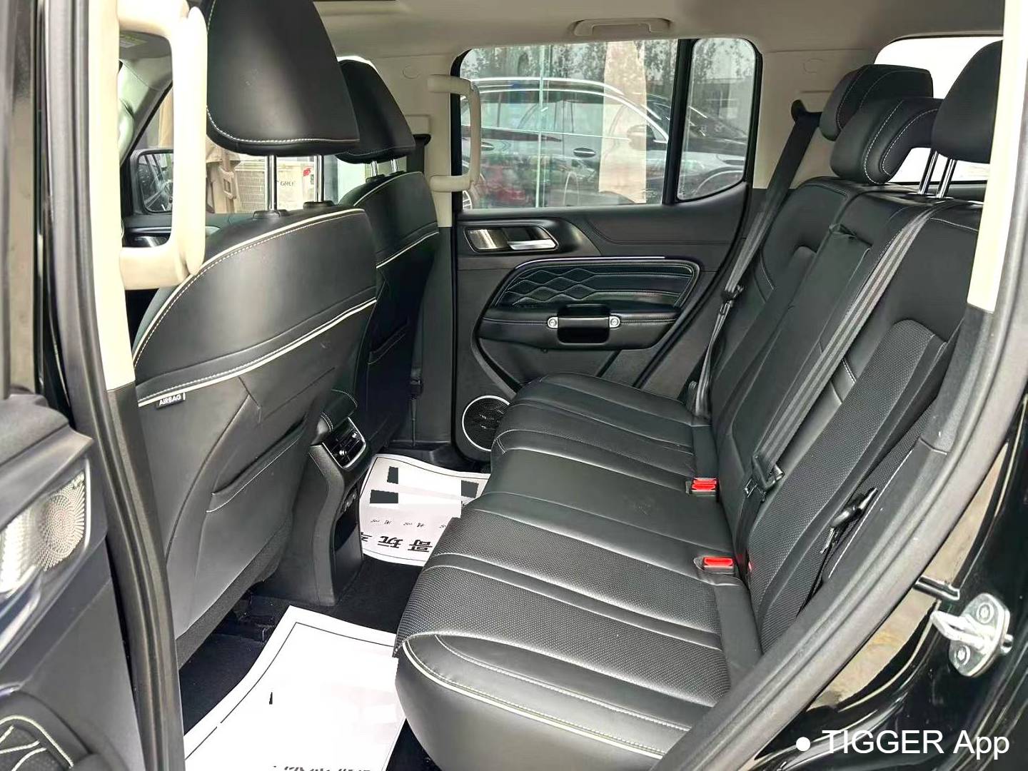 TANK 2024 TANK 300 2.0T Conqueror Automatic Transmission