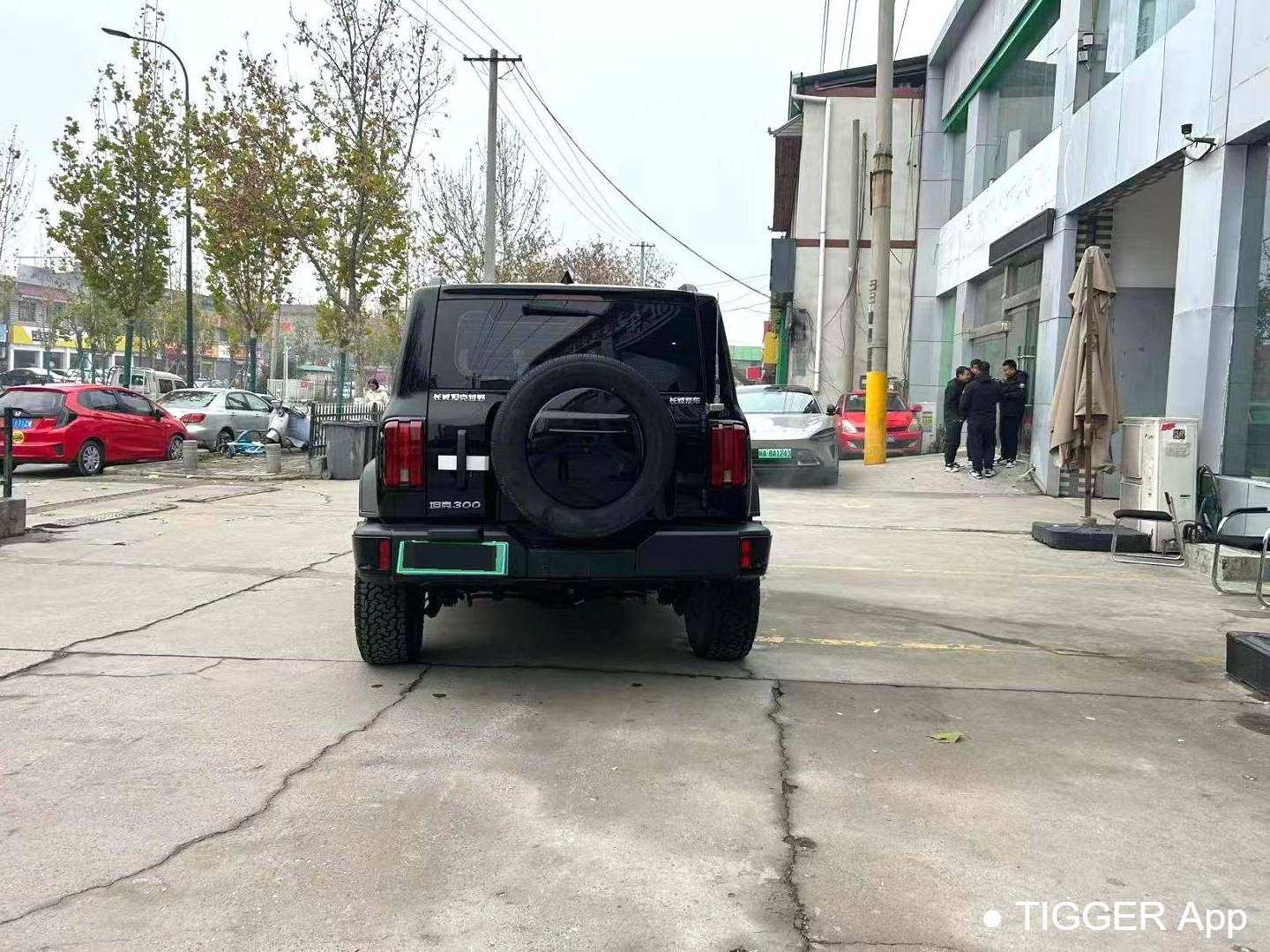 TANK 2024 TANK 300 2.0T Conqueror Automatic Transmission