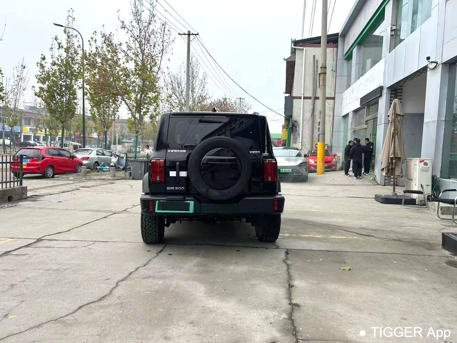 used TANK 2024 TANK 300 2.0T Conqueror Automatic Transmission