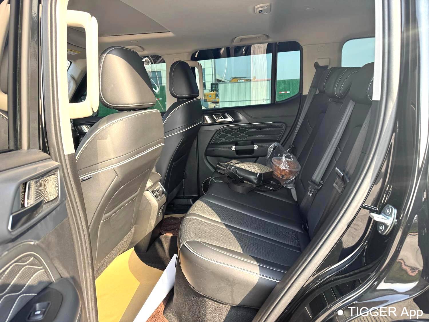 used TANK 2024 TANK 300 Hi4-T 2.0T Hi4-T Automatic Transmission