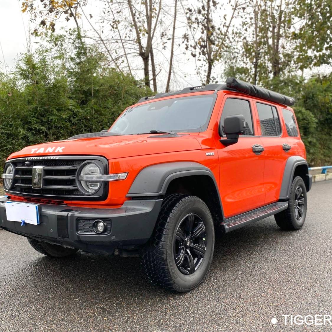 TANK 2023 TANK 300 2.0T Off road Edition Conqueror Automatic Transmission Used Car