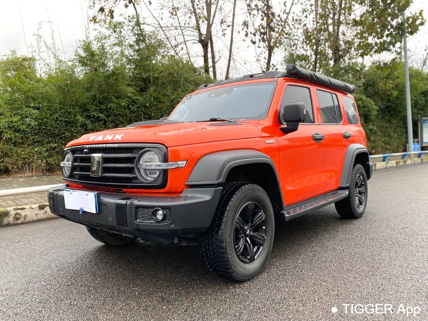 TANK 2023 TANK 300 2.0T Off road Edition Conqueror Automatic Transmission