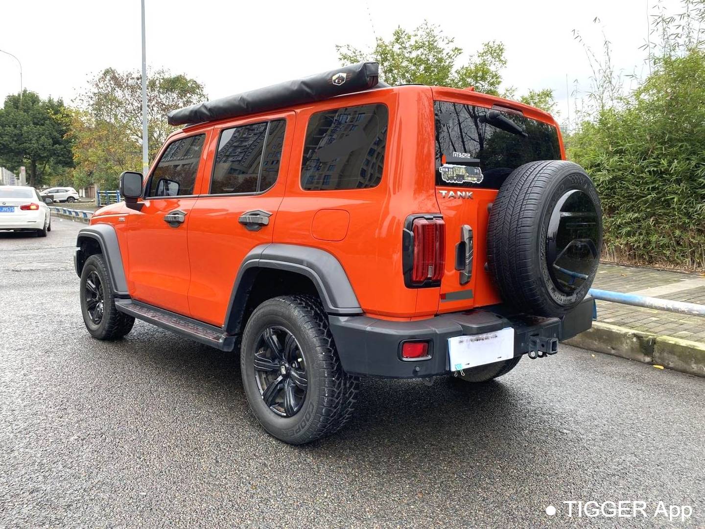 TANK 2023 TANK 300 2.0T Off road Edition Conqueror Automatic Transmission