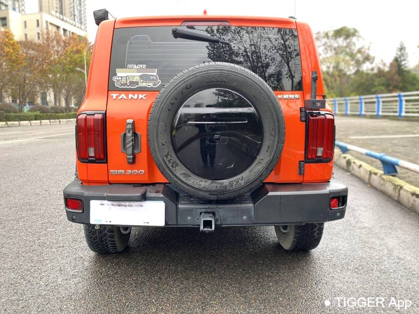 TANK 2023 TANK 300 2.0T Off road Edition Conqueror Automatic Transmission