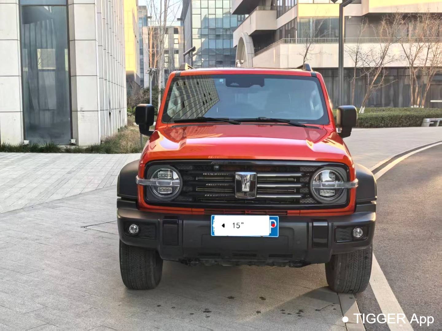 TANK 2024 TANK 300 2.0T Conqueror Automatic Transmission