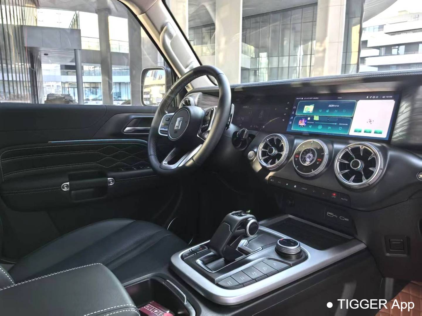 TANK 2024 TANK 300 2.0T Conqueror Automatic Transmission