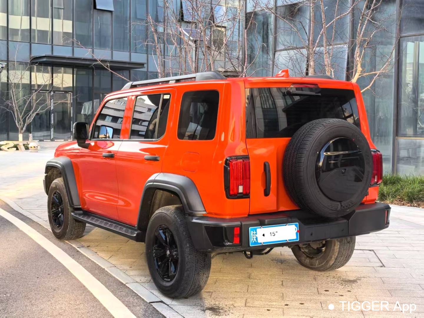 TANK 2024 TANK 300 2.0T Conqueror Automatic Transmission