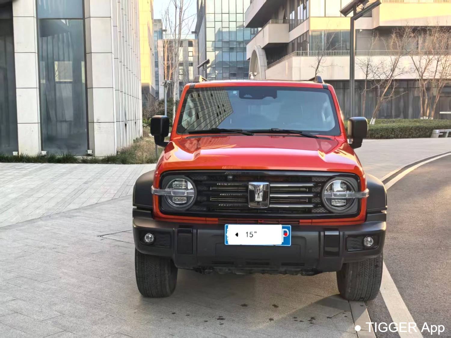 used TANK 2024 TANK 300 2.0T Conqueror Automatic Transmission