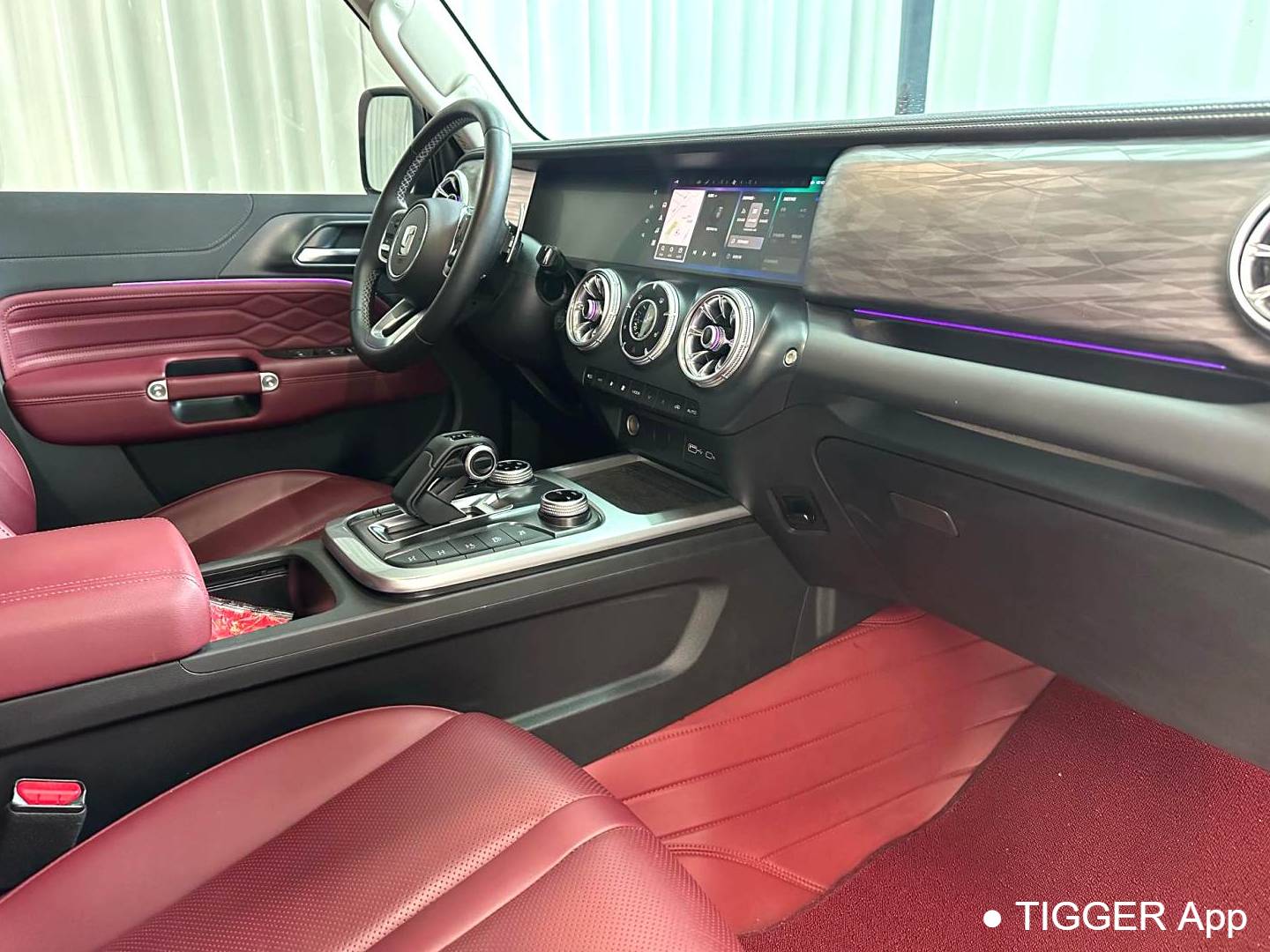 TANK 2024 TANK 300 2.0T Conqueror Automatic Transmission