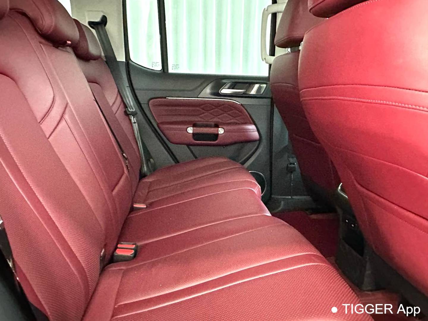 TANK 2024 TANK 300 2.0T Conqueror Automatic Transmission