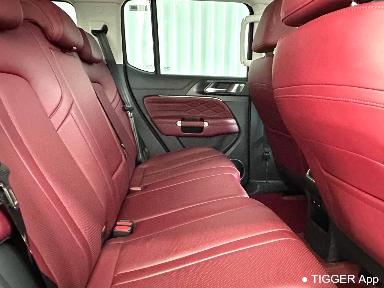 used TANK 2024 TANK 300 2.0T Conqueror Automatic Transmission