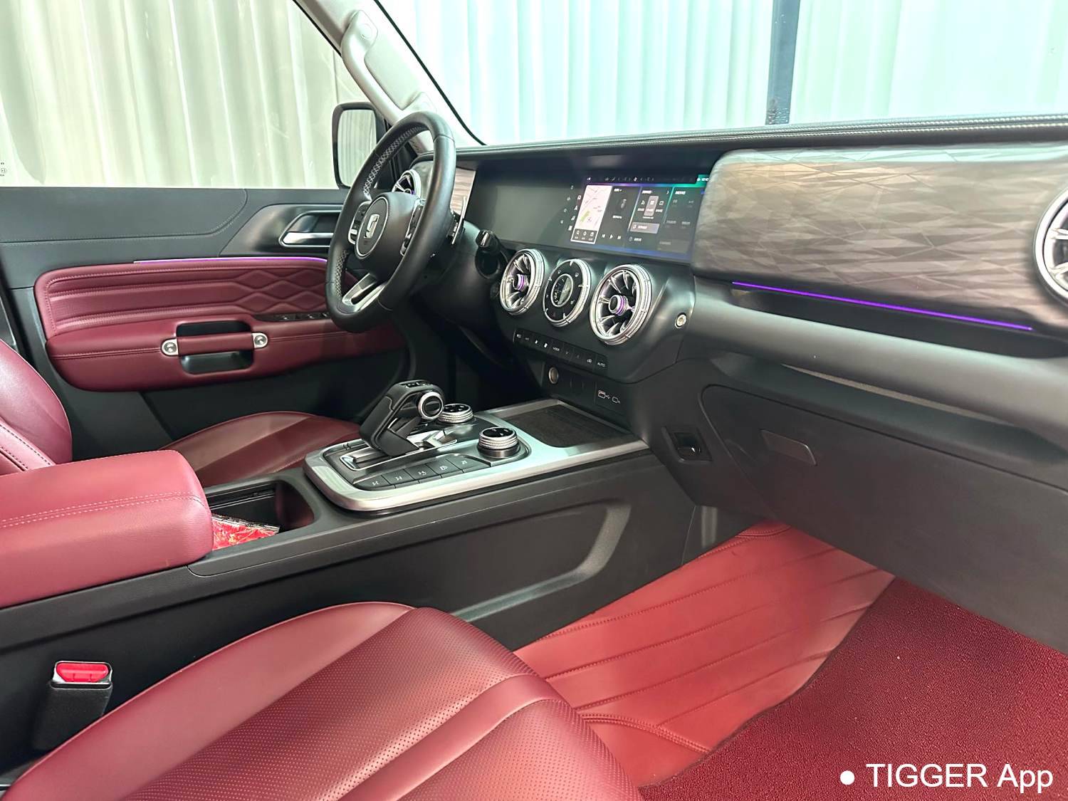 used TANK 2024 TANK 300 2.0T Conqueror Automatic Transmission