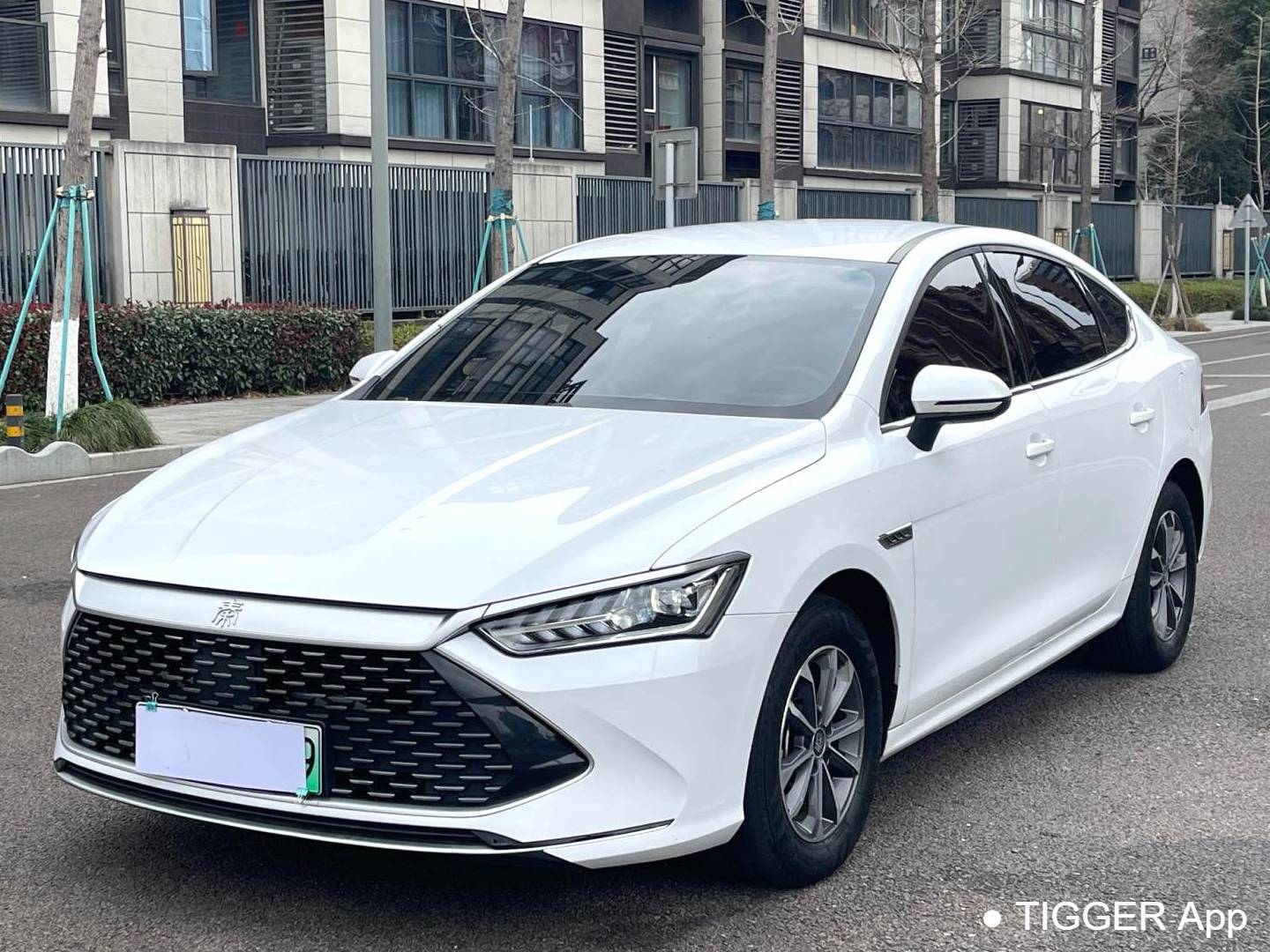 BYD 2024 QIN PLUS DM-i 1.5 Stepless Honor Edition 55KM Leading Automatic Transmission