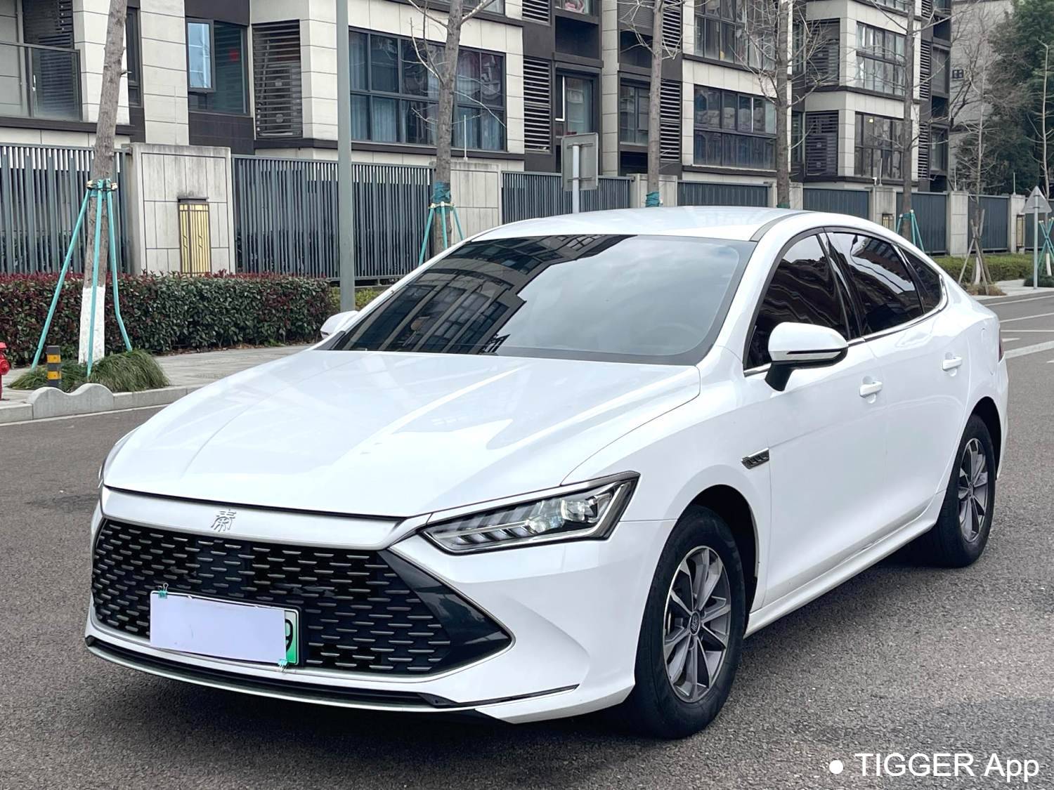 used BYD 2024 QIN PLUS DM-i 1.5 Stepless Honor Edition 55KM Leading Automatic Transmission