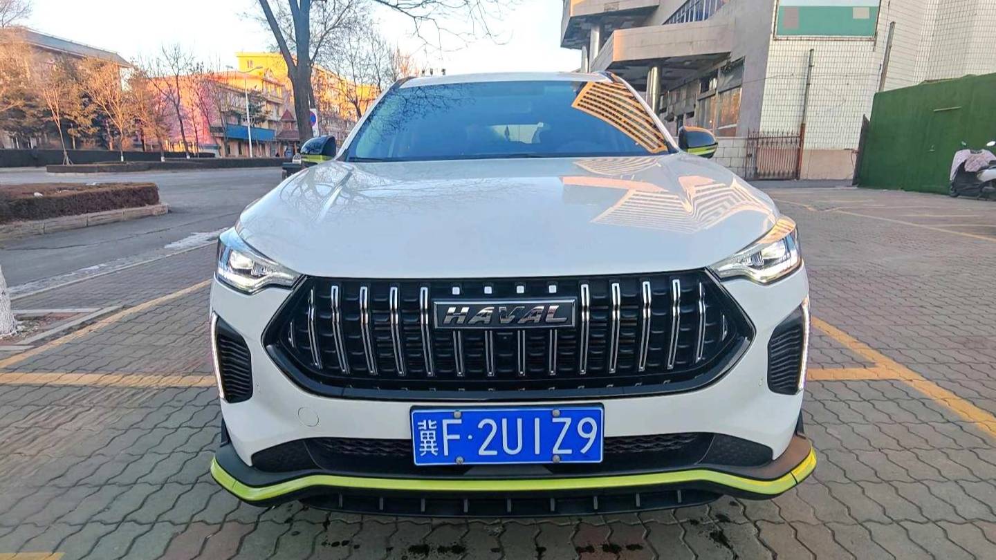 HAVAL 2022 Jolion Pro 1.5T Enjoyment Edition Purple Copper Rabbit Automatic Transmission