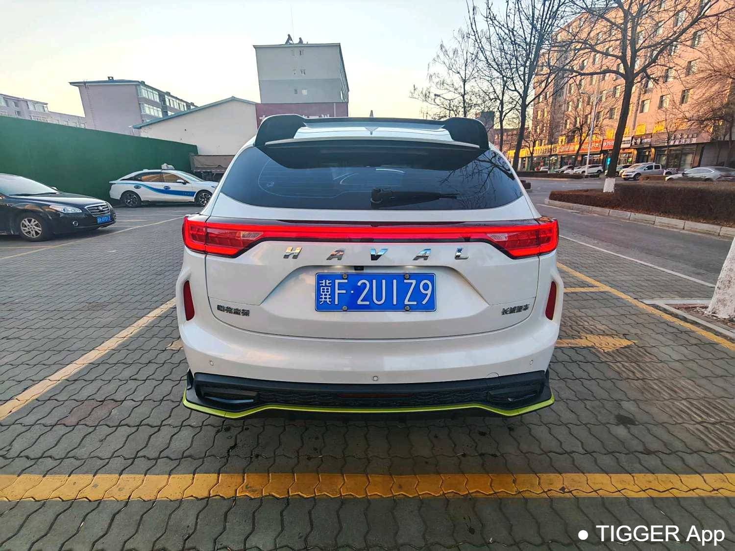 HAVAL 2022 Jolion Pro 1.5T Enjoyment Edition Purple Copper Rabbit Automatic Transmission