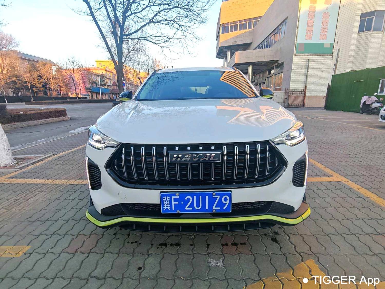 HAVAL 2022 Jolion Pro 1.5T Enjoyment Edition Purple Copper Rabbit Automatic Transmission