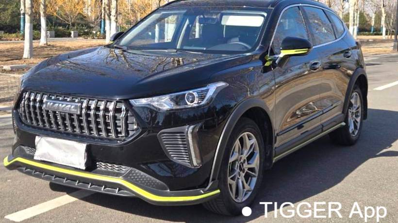 HAVAL 2022 Jolion Pro 1.5T Enjoyment Edition Brass Rabbit Automatic Transmission