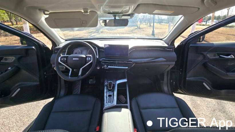 HAVAL 2022 Jolion Pro 1.5T Enjoyment Edition Brass Rabbit Automatic Transmission