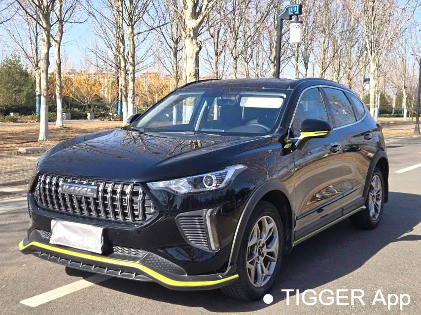 HAVAL 2022 Jolion Pro 1.5T Enjoyment Edition Brass Rabbit Automatic Transmission