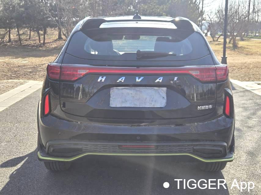 HAVAL 2022 Jolion Pro 1.5T Enjoyment Edition Brass Rabbit Automatic Transmission