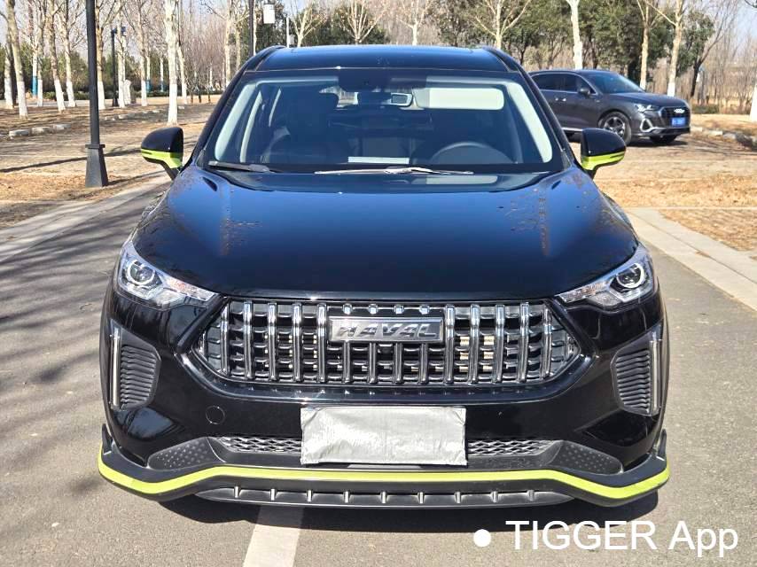 HAVAL 2022 Jolion Pro 1.5T Enjoyment Edition Brass Rabbit Automatic Transmission