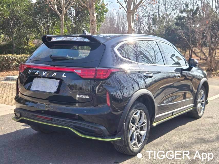 HAVAL 2022 Jolion Pro 1.5T Enjoyment Edition Brass Rabbit Automatic Transmission