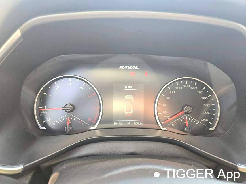 HAVAL 2022 Jolion Pro 1.5T Enjoyment Edition Brass Rabbit Automatic Transmission