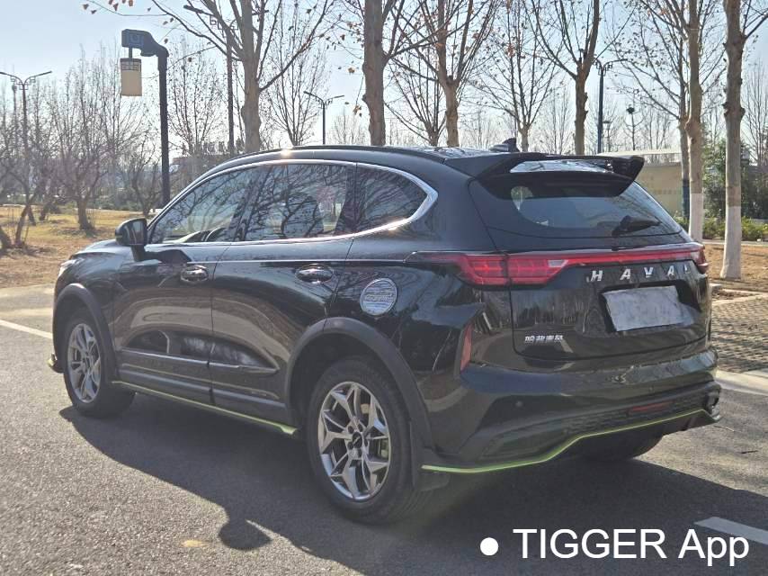 HAVAL 2022 Jolion Pro 1.5T Enjoyment Edition Brass Rabbit Automatic Transmission