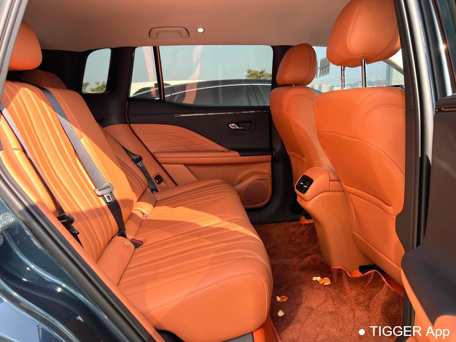 Used AION 2026 Aion V Tyrannosaurus Rex Home Edition 520 Intelligent Luxury Edition Automatic Transmission