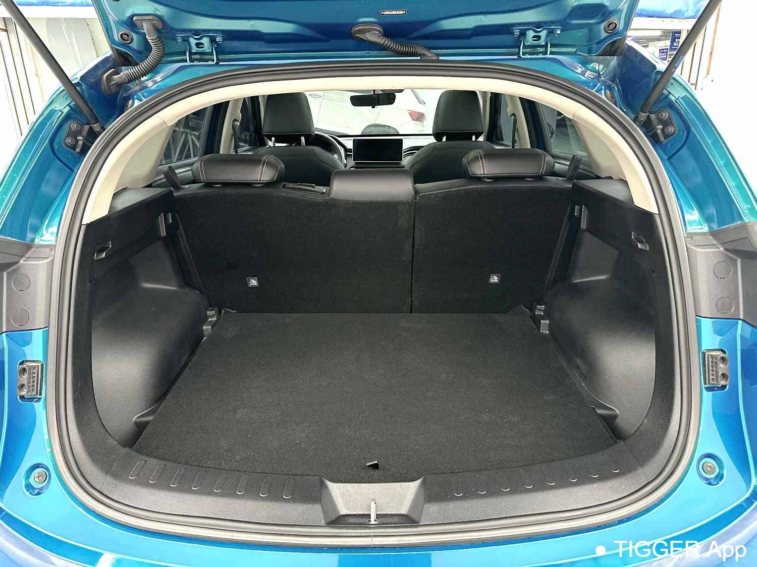 HAVAL 2022 Jolion Pro 1.5T Enjoyment Edition Purple Copper Rabbit Automatic Transmission